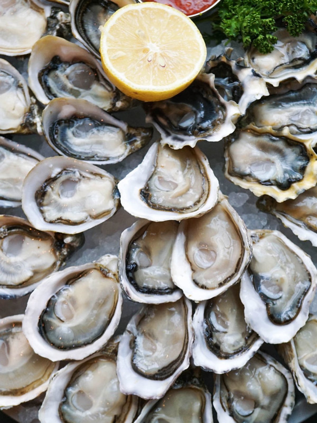 a plate of oysters on boat in Catania
