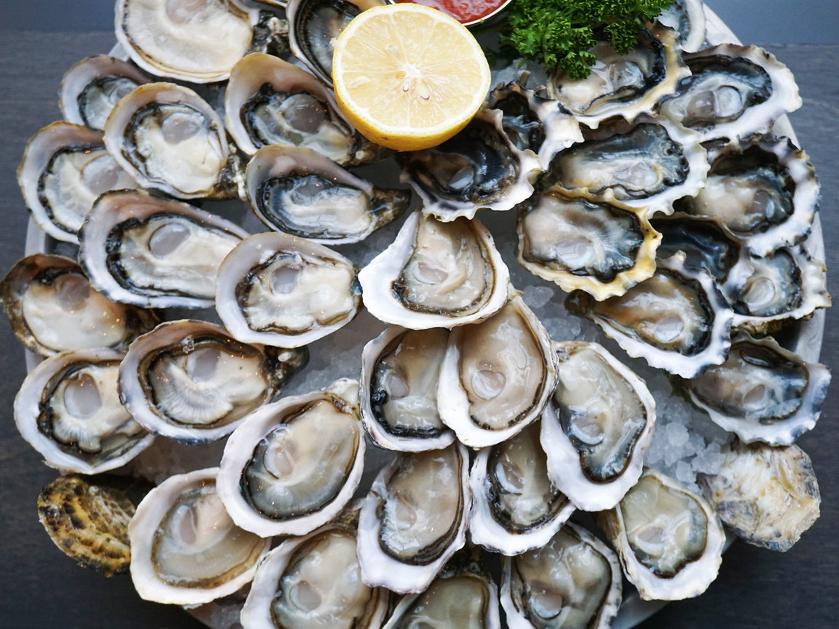 a plate of oysters on boat in Catania
