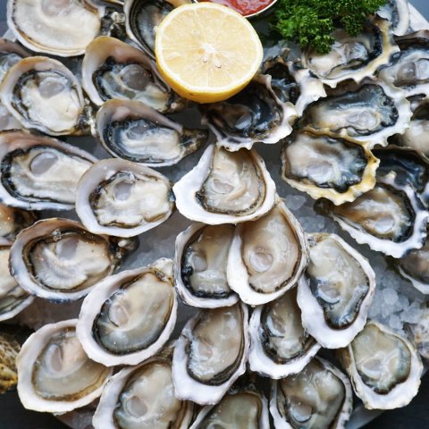 a plate of oysters on boat in Catania