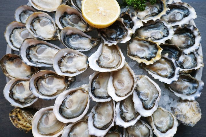 a plate of oysters on boat in Catania