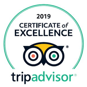 tripadvisor logo