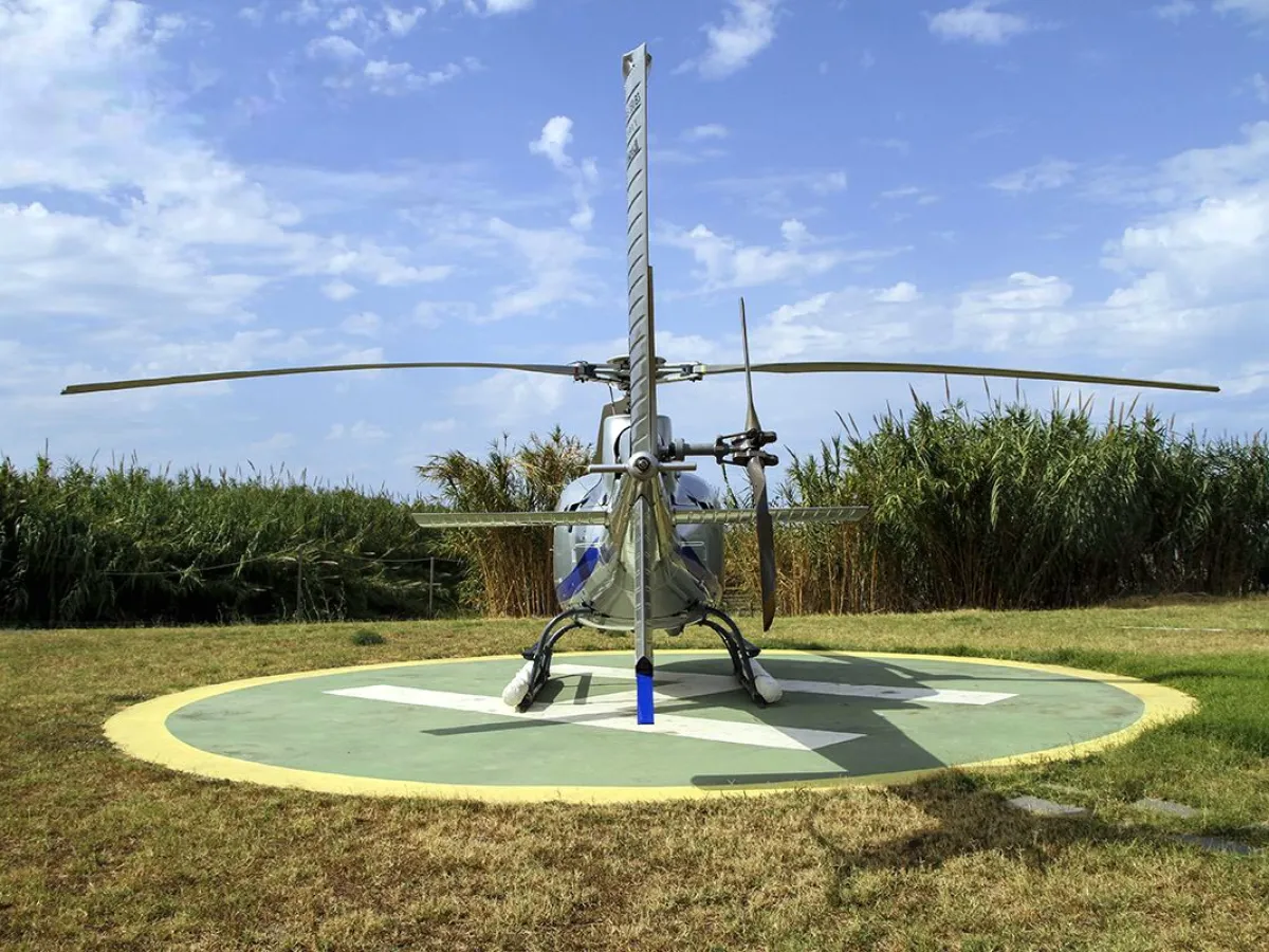 a close up of a light pole sitting in the grass