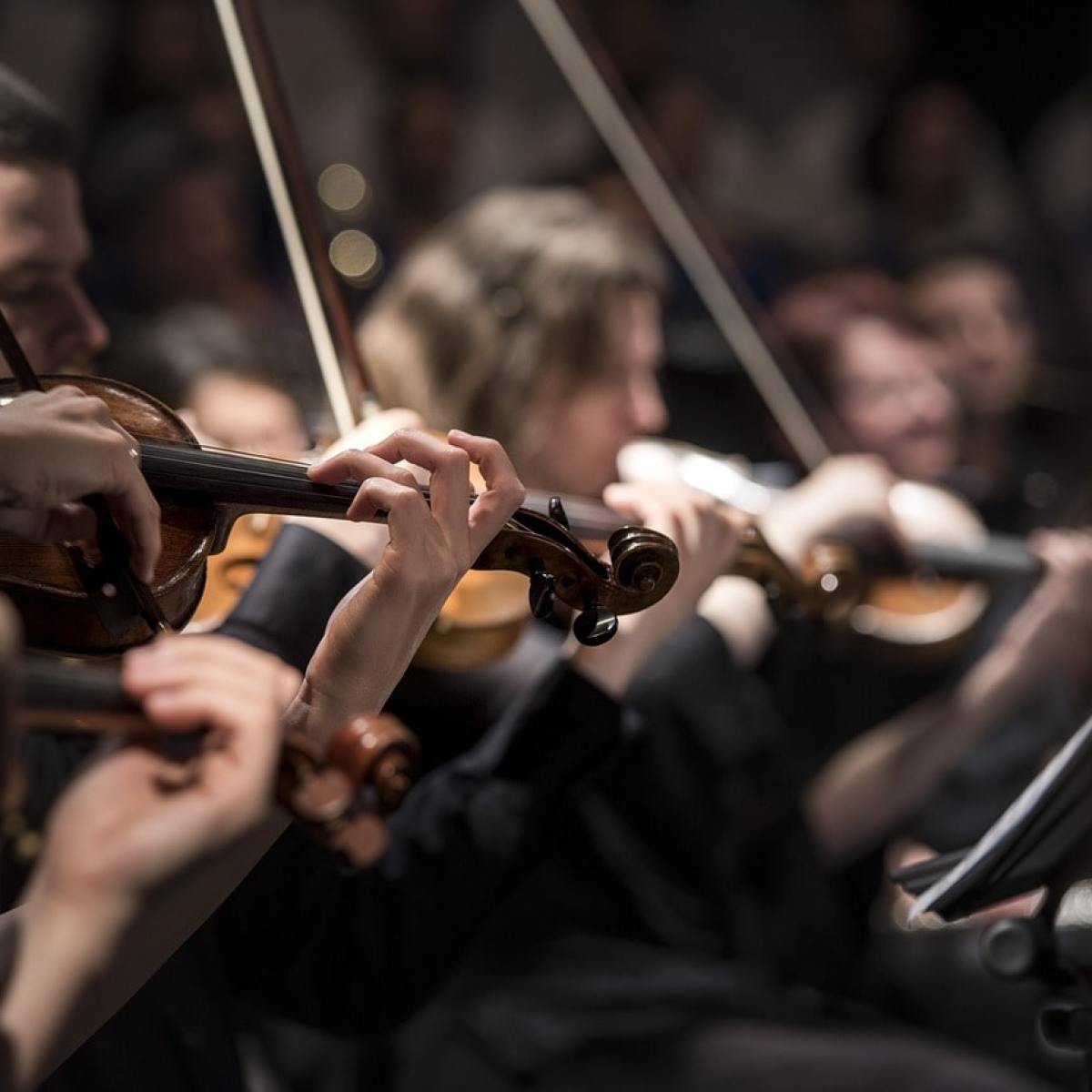 a person holding a violin