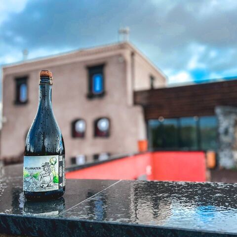 Mount Etna Tours from Catania