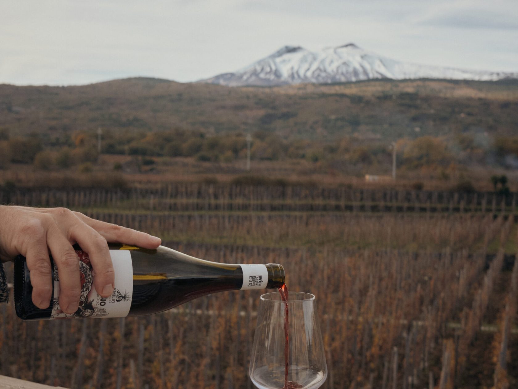 a person holding a wine glass