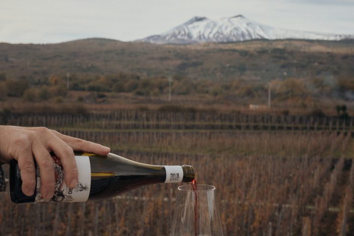 a person holding a wine glass