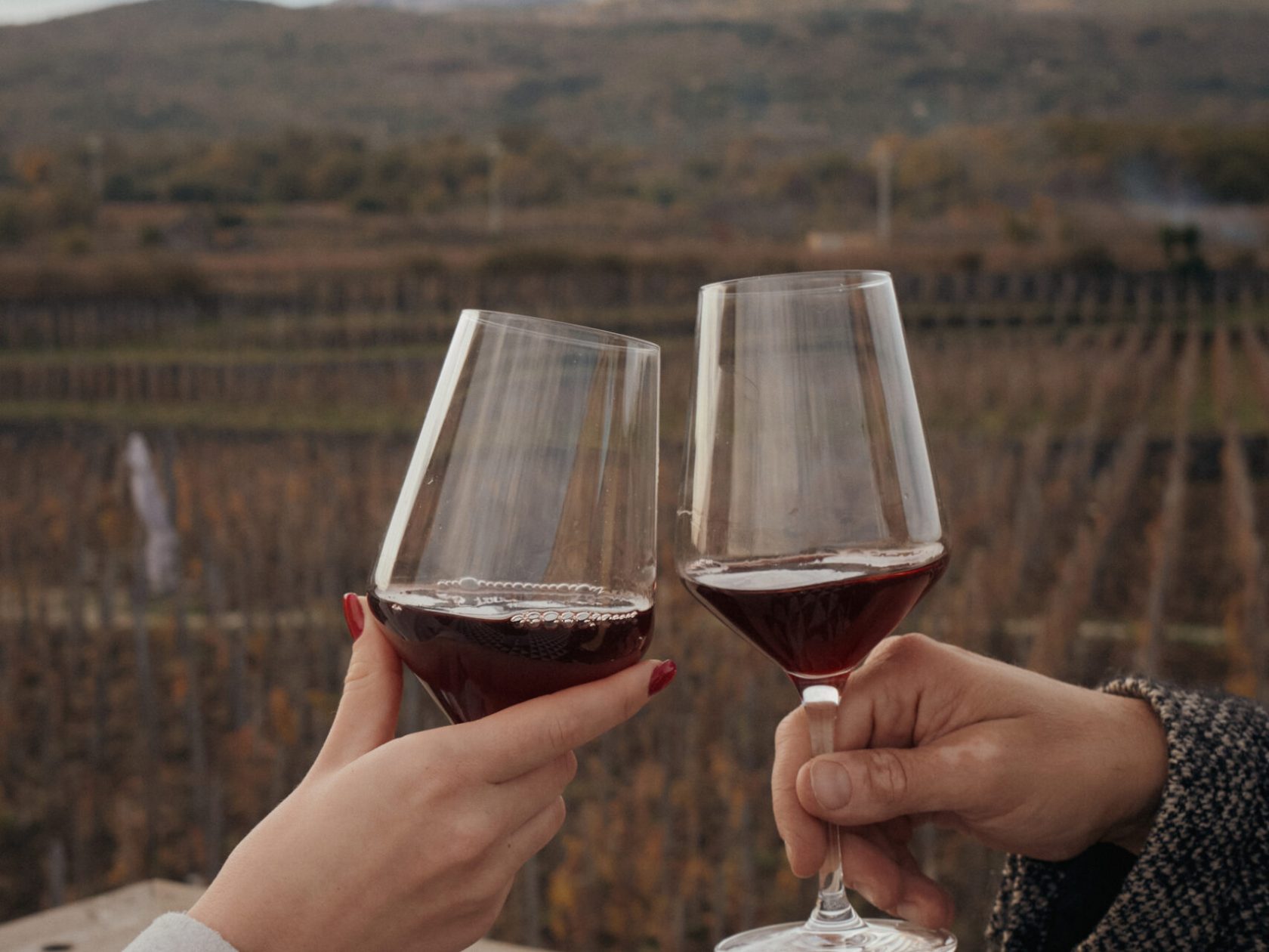 a person holding a wine glass
