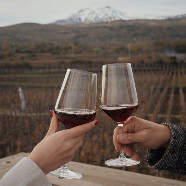 a person holding a wine glass