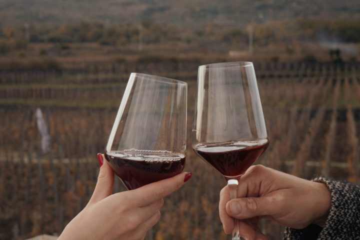 a person holding a wine glass