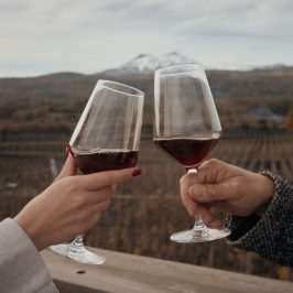 a hand holding a glass of wine