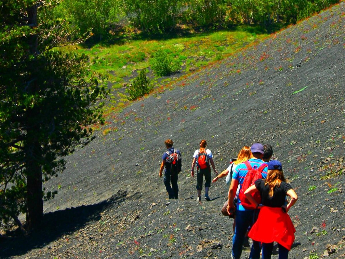 a group of people standing on top of a hill