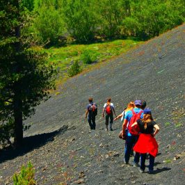 a group of people standing on top of a hill