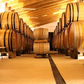 Mount Etna Tours from Catania