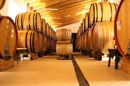 Mount Etna Tours from Catania