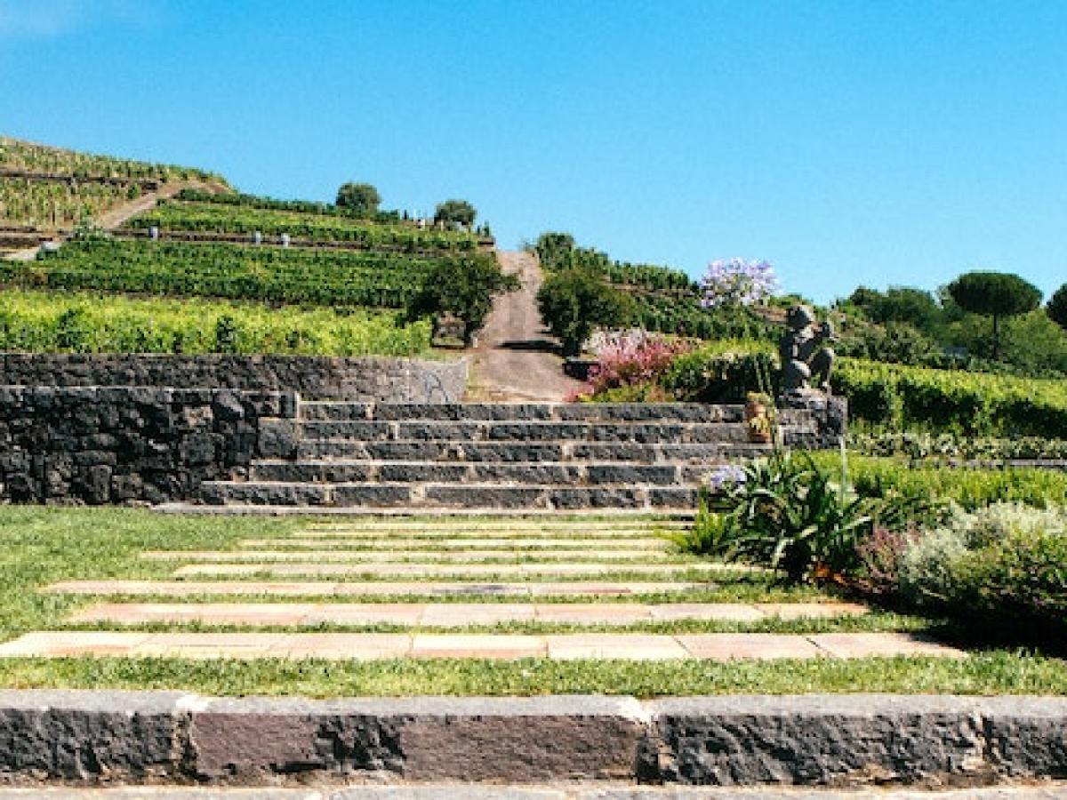 Discover Mount Etna: Tailor made Tours from Catania with Sicily Vibe Concierge