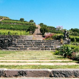 Discover Mount Etna: Tailor made Tours from Catania with Sicily Vibe Concierge