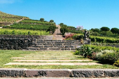 Discover Mount Etna: Tailor made Tours from Catania with Sicily Vibe Concierge