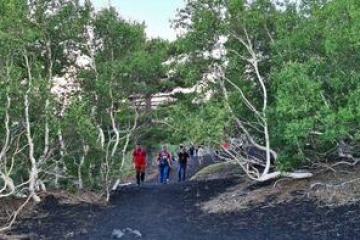 a group of people in a forest