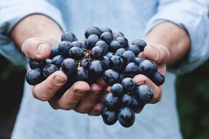 Etna Wine