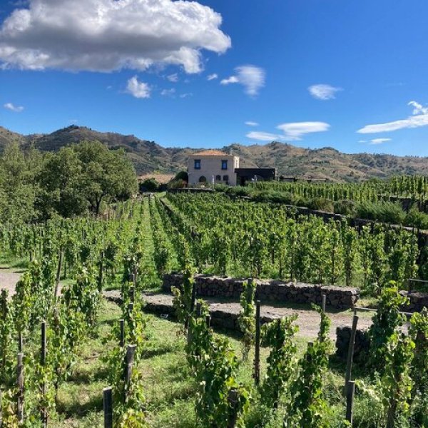 Weekend di Eccellenza in Sicilia con Sicily Vibe Concierge: Vivi lo Stile 