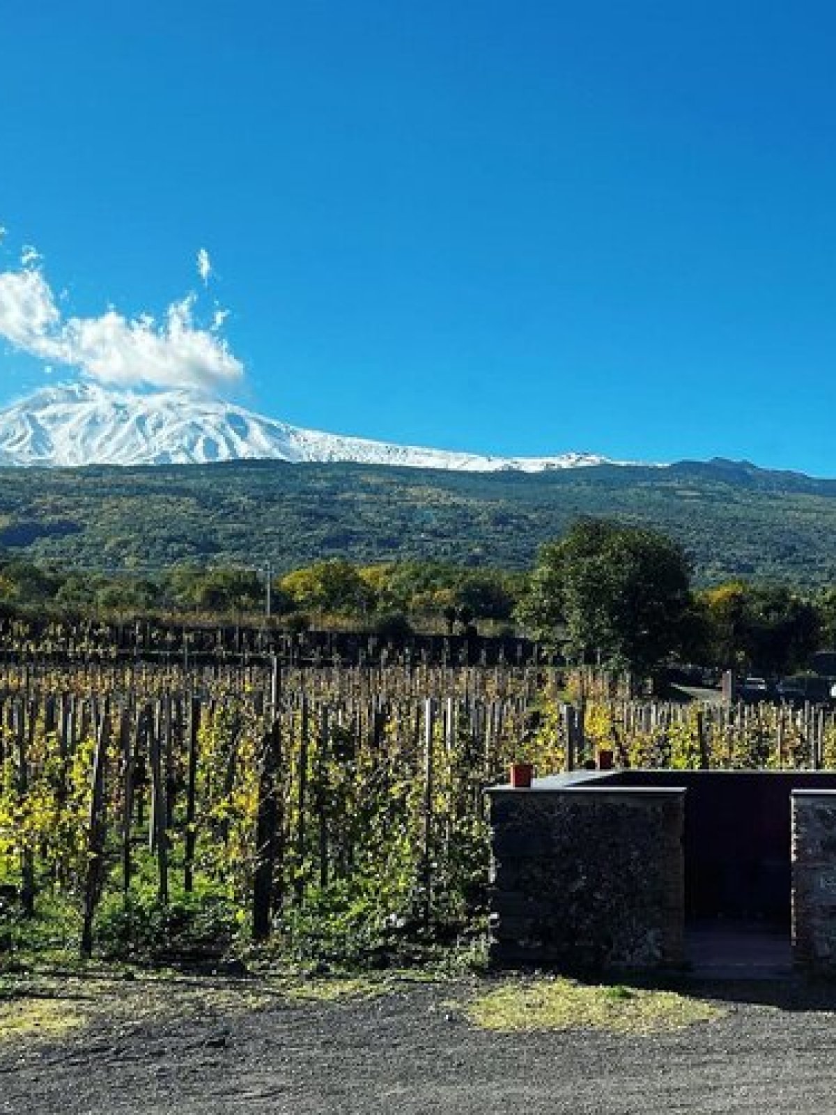 Weekend di Eccellenza in Sicilia con Sicily Vibe Concierge: Vivi lo Stile