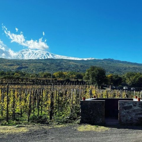 Weekend di Eccellenza in Sicilia con Sicily Vibe Concierge: Vivi lo Stile 