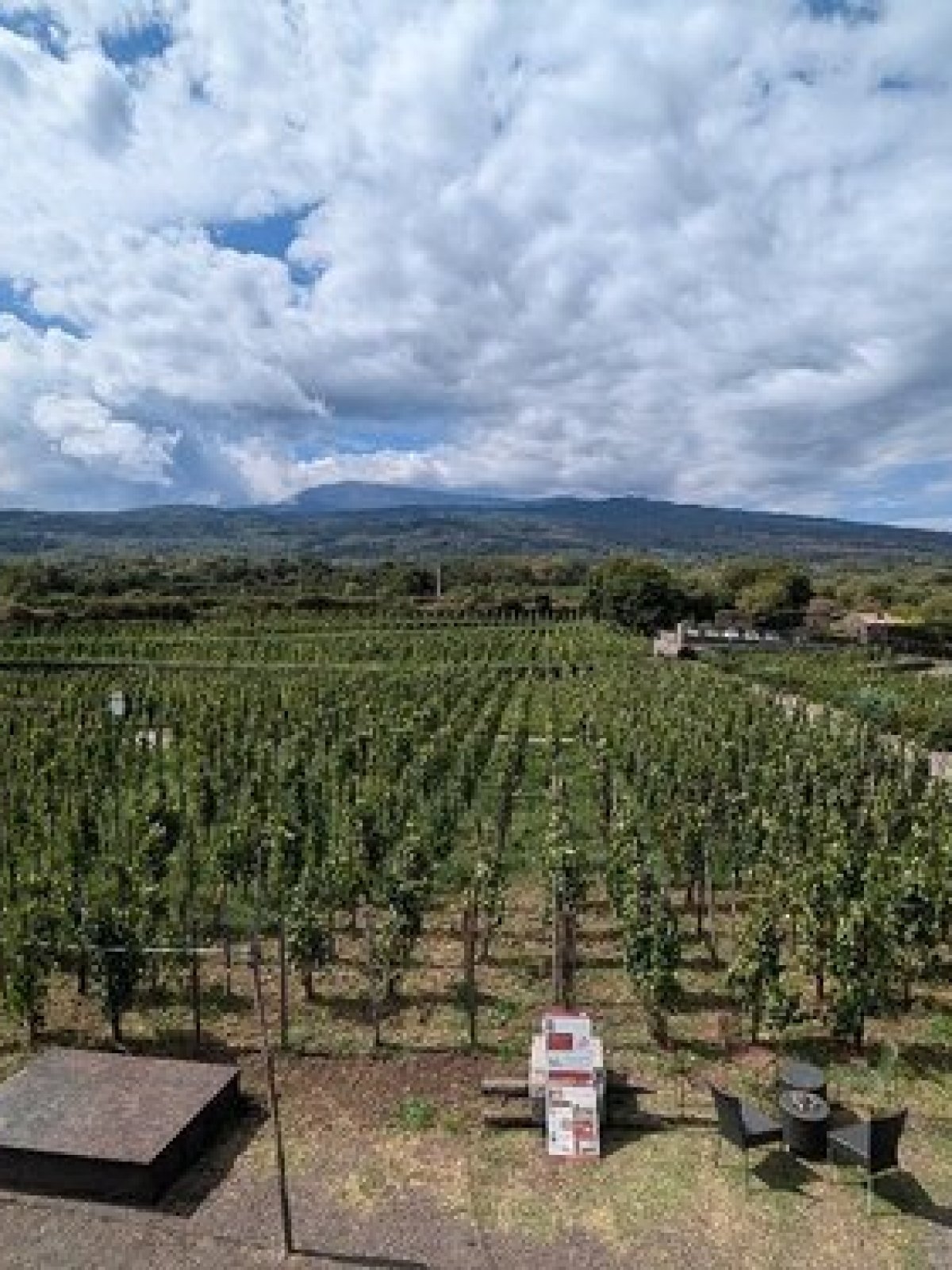 a group of people in a field