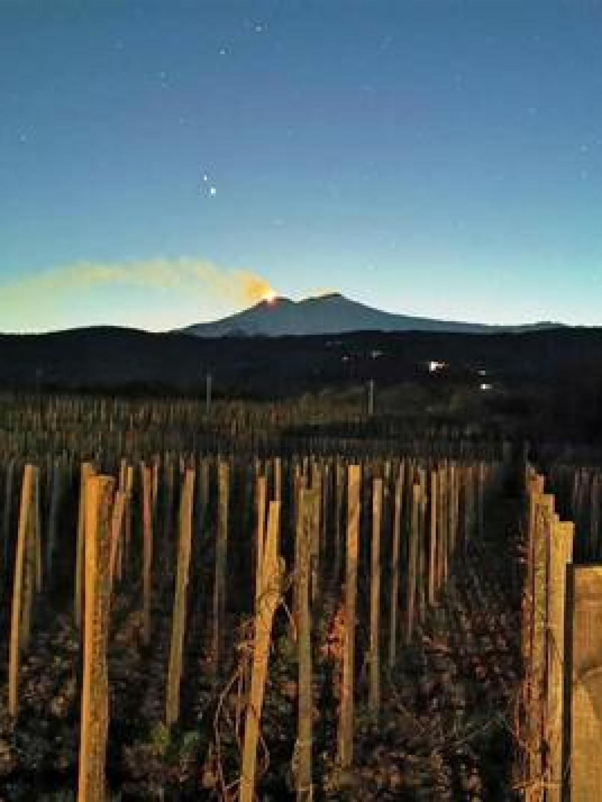 Weekend di Eccellenza in Sicilia con Sicily Vibe Concierge: Vivi lo Stile