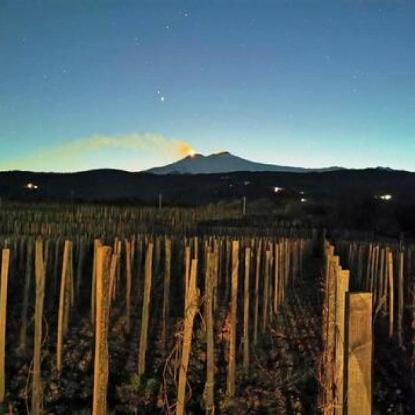 Weekend di Eccellenza in Sicilia con Sicily Vibe Concierge: Vivi lo Stile 