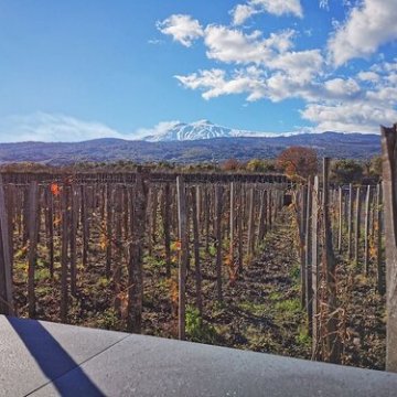 Sicily Vibe Concierge: Your Guide to Luxurious Villas and Private Event Venues in Sicily