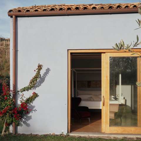 a house with a christmas tree