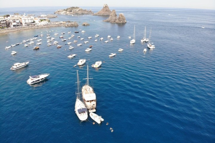 a flock of seagulls are swimming in a body of water