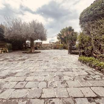 Stone courtyard with tree, lined by hedges and cloudy sky.