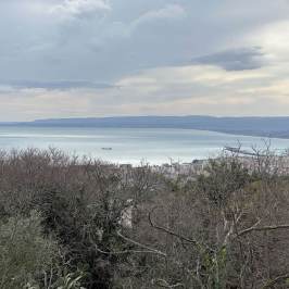 Coastal view with a distant ship, trees in foreground, and cloudy sky.