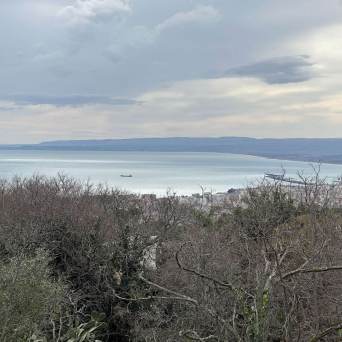 Coastal view with a distant ship, trees in foreground, and cloudy sky.