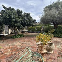 Brick patio with potted plants, large trees, and metal benches under a cloudy sky.