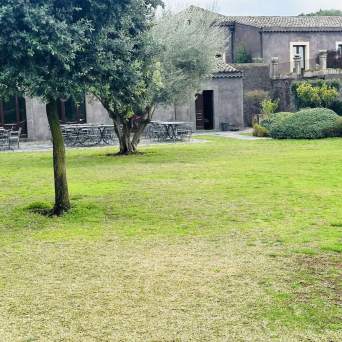 Courtyard with grass, trees, metal tables, and an old building in the background.