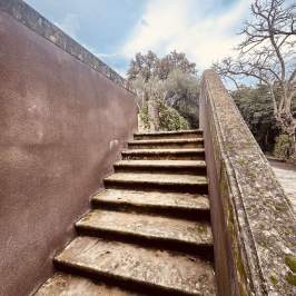 Stone staircase with moss, leading outdoors with trees under a cloudy sky.