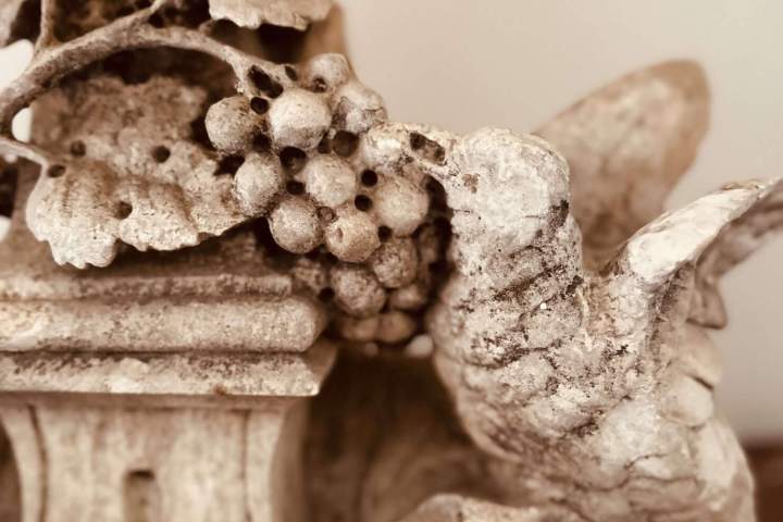 Vintage sculpture of bird with grapes and leaves in sepia tone.