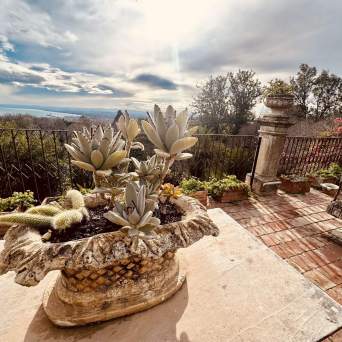 Sunny terrace with a stone planter, succulents, and metal railing overlooking a landscape.