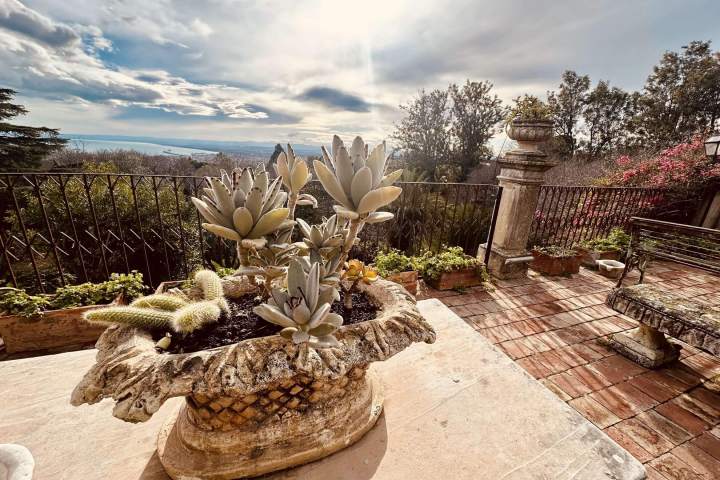 Sunny terrace with a stone planter, succulents, and metal railing overlooking a landscape.