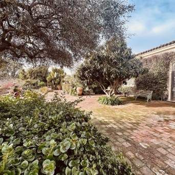 Brick patio with trees, plants, a bench, and a building with shutters under a blue sky.