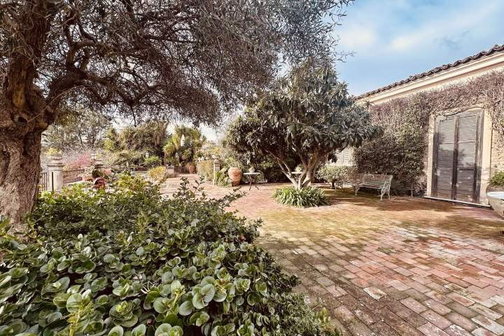 Brick patio with trees, plants, a bench, and a building with shutters under a blue sky.