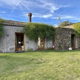 Stone cottage with wooden doors and green vines on walls, under a blue sky.