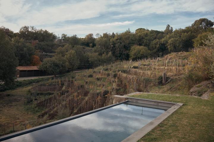 Infinity pool overlooking a vineyard and forested hillside under a partly cloudy sky.