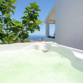 Outdoor hot tub with ocean view and lush greenery.