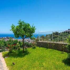 Sunny garden with a small tree and sea view behind a white fence.