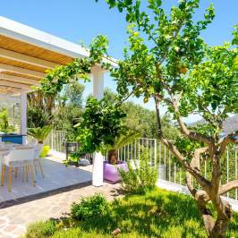 Outdoor patio with dining set, lemon tree, and ocean view under clear sky.