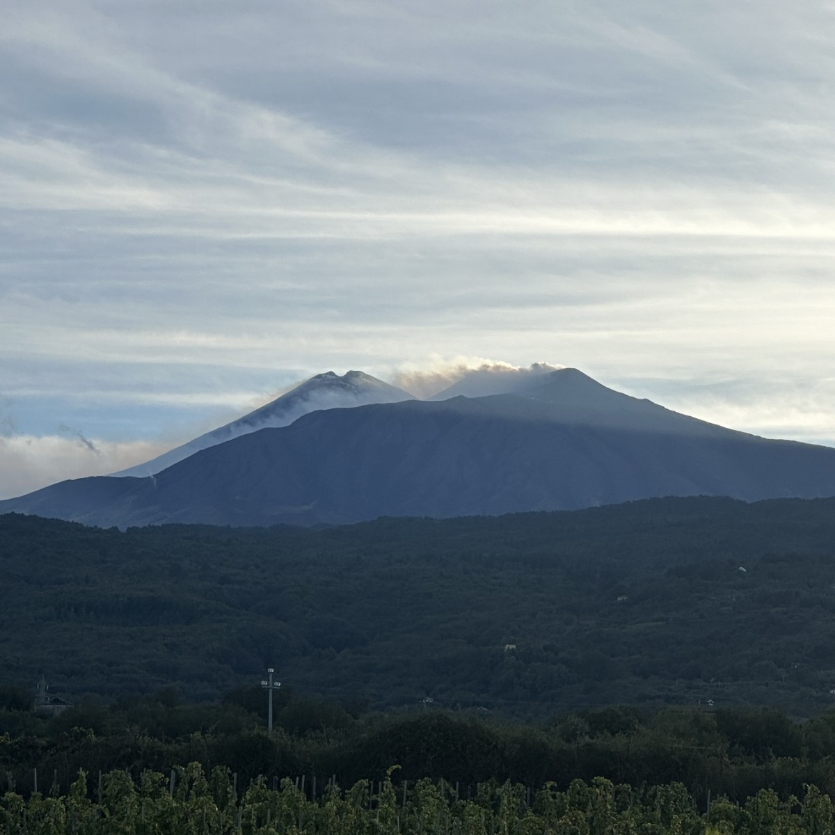 Mountain landscape with cloud-covered peaks and foreground greenery.